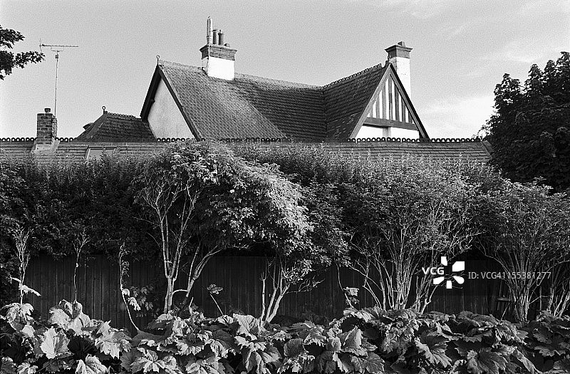 从树木中长出的房屋——英式屋顶图片素材