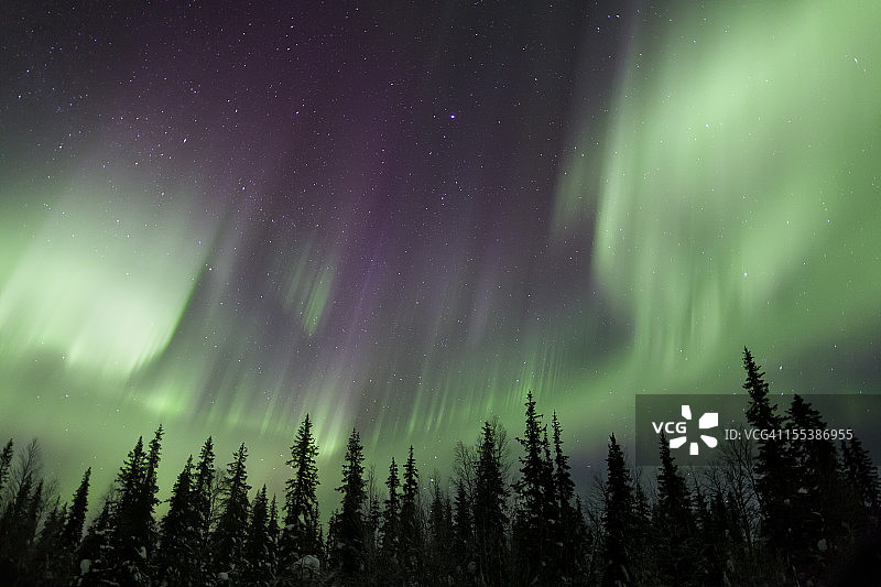 森林上空的北极光图片素材