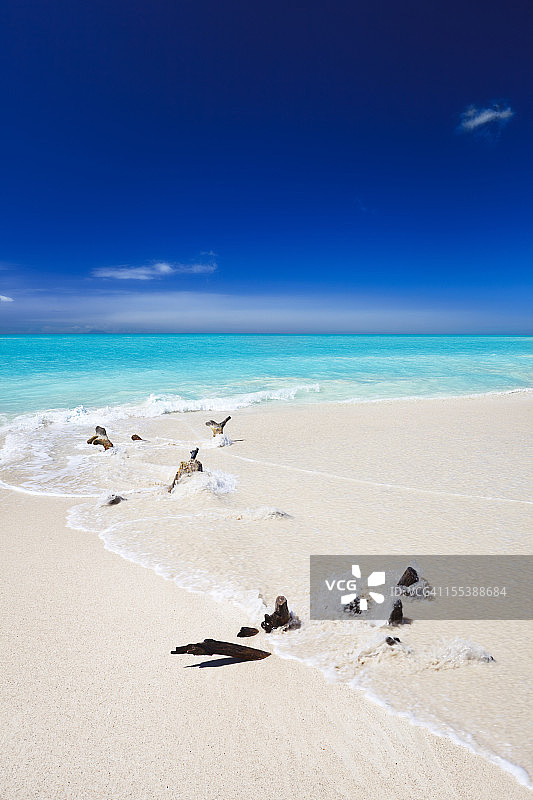 加勒比海滩上的浮木图片素材