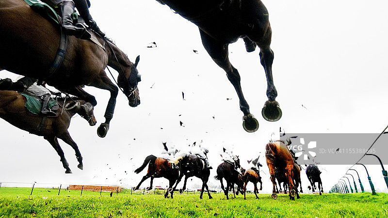 障碍赛跳跃和赛马图片素材