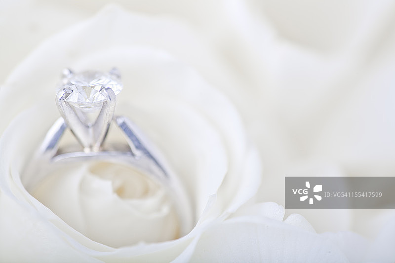 白玫瑰中的订婚戒指图片素材