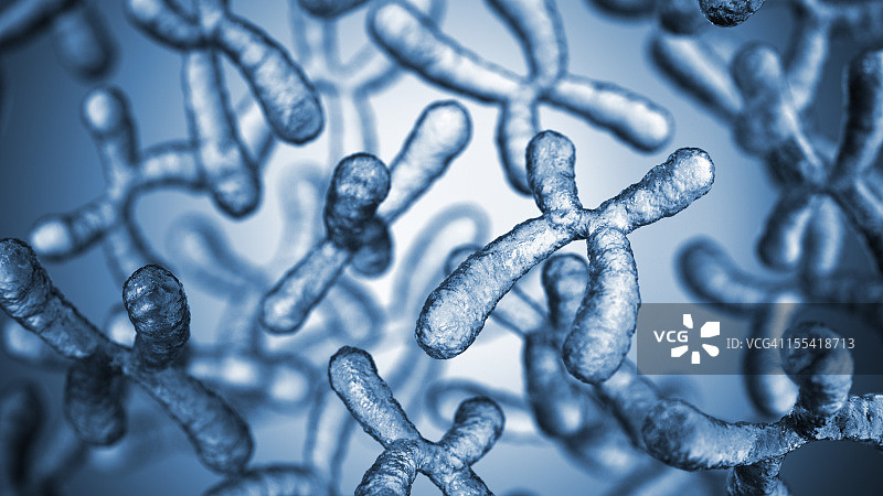 染色体图片素材