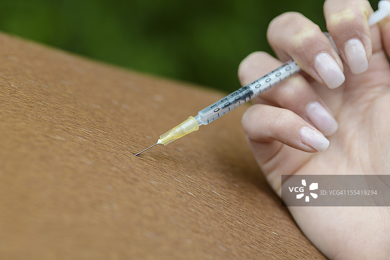 工作中拿着注射器的兽医图片素材