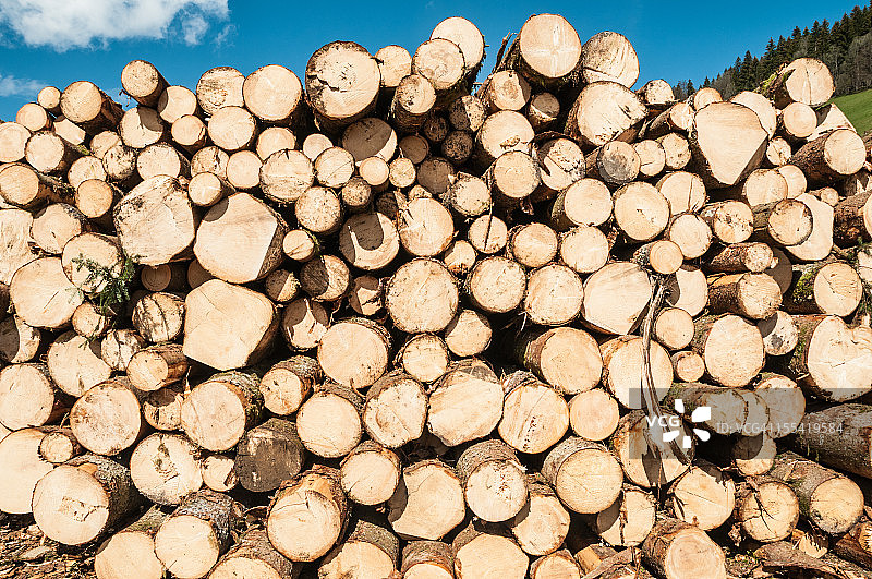 堆叠的树干图片素材