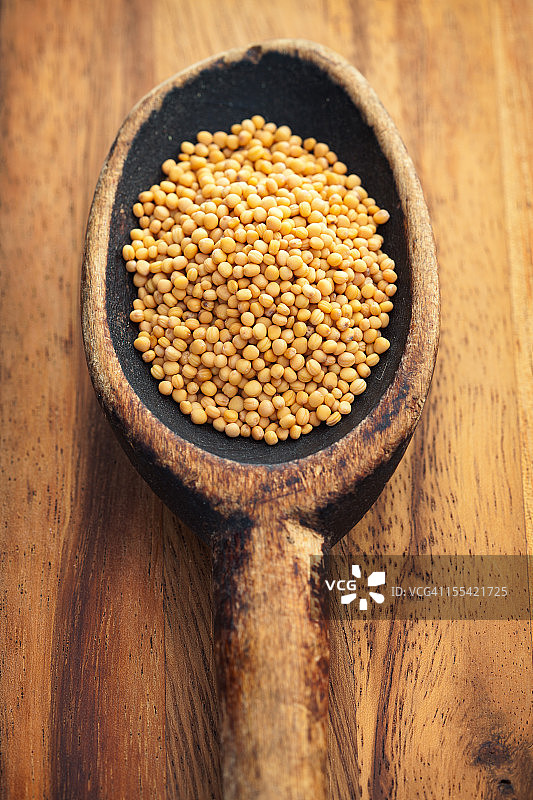 黄色芥菜籽图片素材