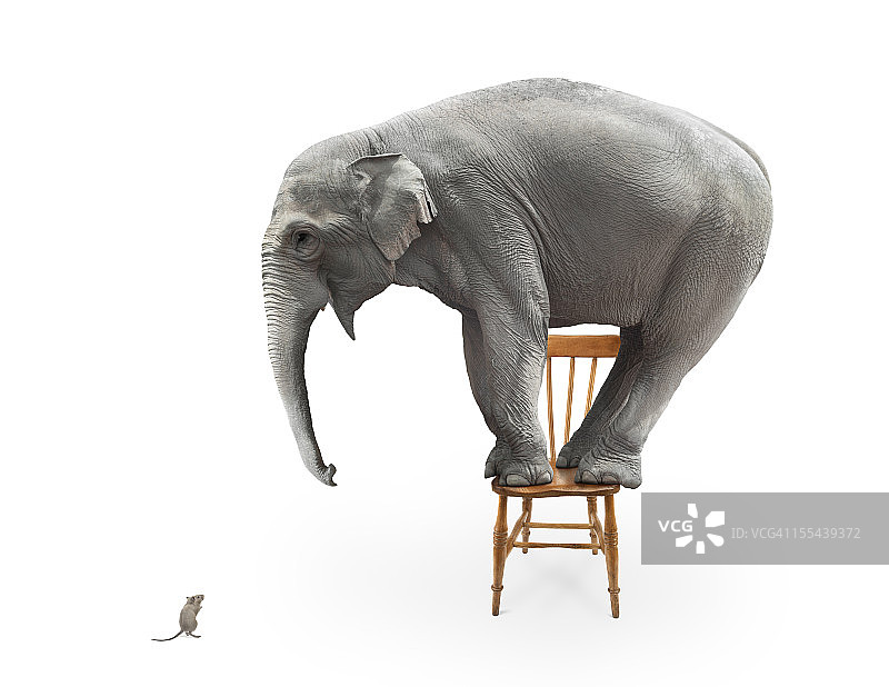 大象害怕老鼠图片素材