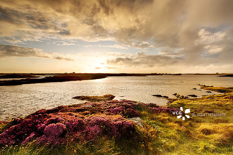 本贝丘拉湖和石楠地上壮丽的日落图片素材