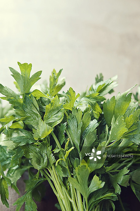 欧芹图片素材