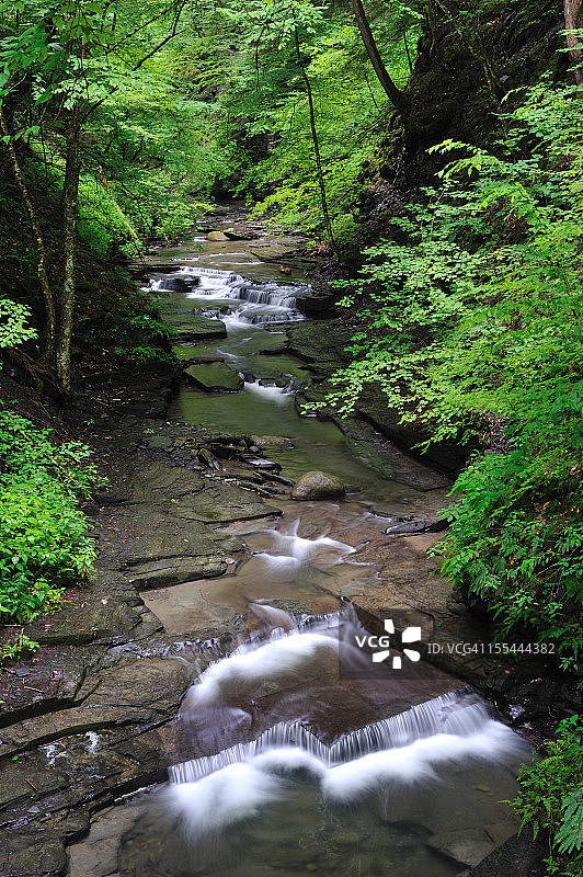 菲尔莫格伦州立公园的干涸小溪图片素材