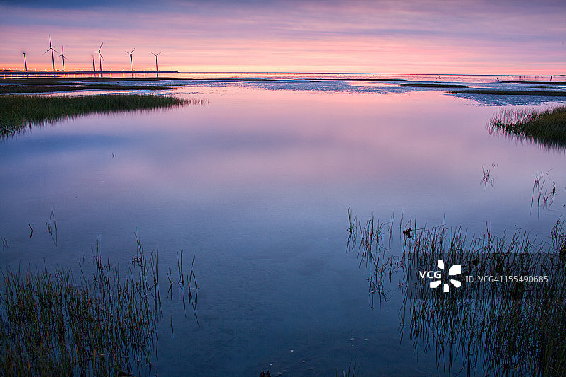 高美湿地图片素材