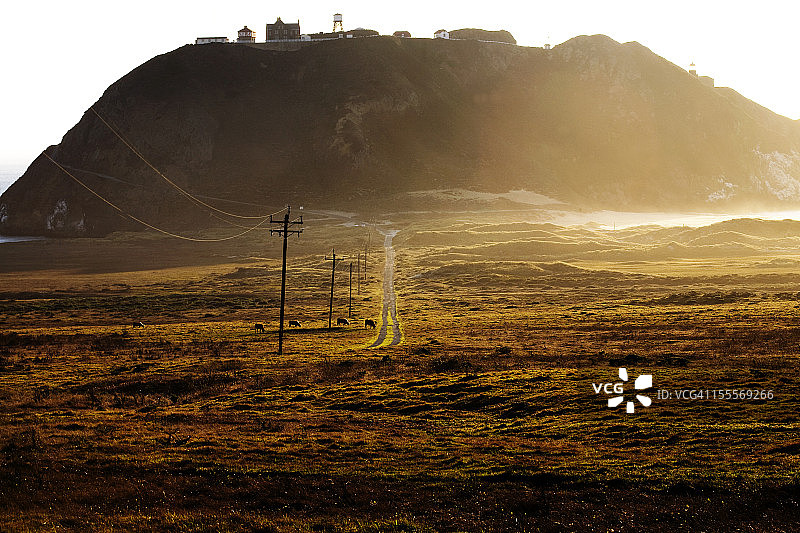 通往瑟尔角灯塔的道路图片素材