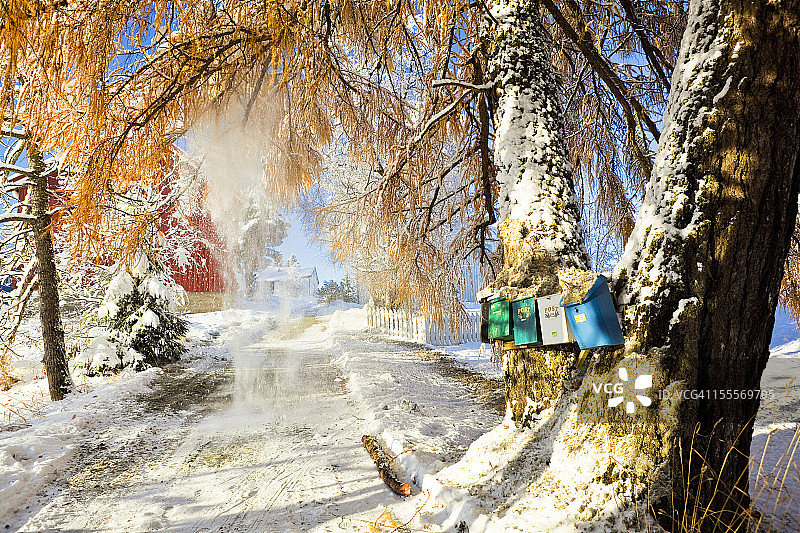 阳光明媚的冬日图片素材