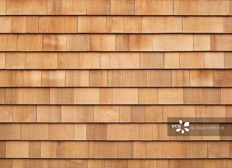 雪松壁板图片素材