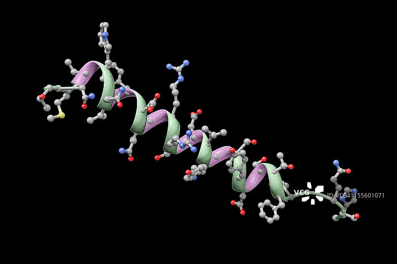 人的胰高血糖素模型图片素材