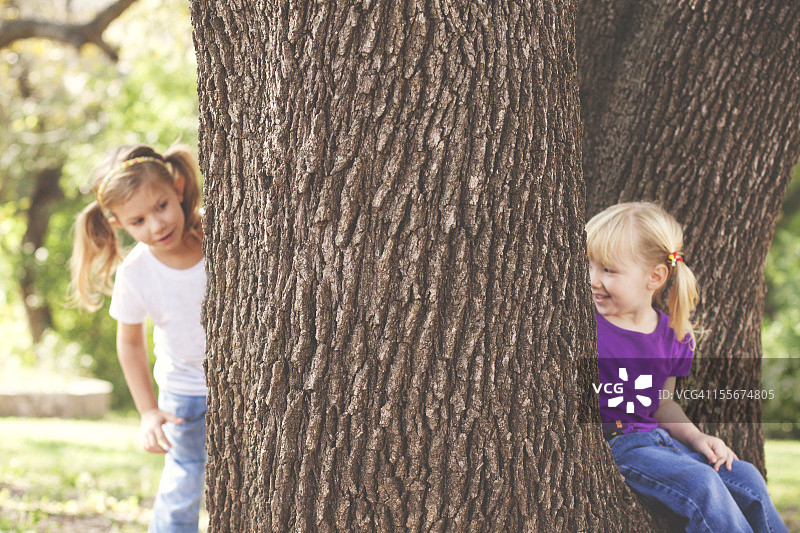 两个女孩在树周围玩捉迷藏图片素材