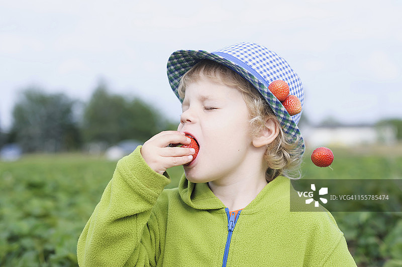 德国萨克森：田野里吃草莓的男孩（特写）图片素材