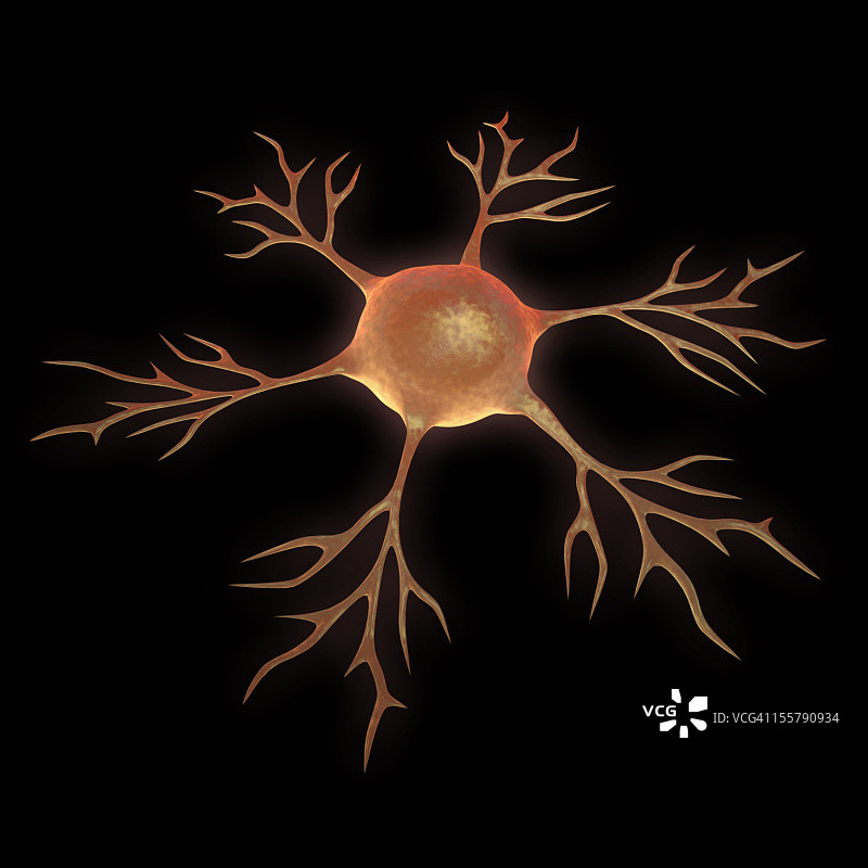 神经细胞图片素材