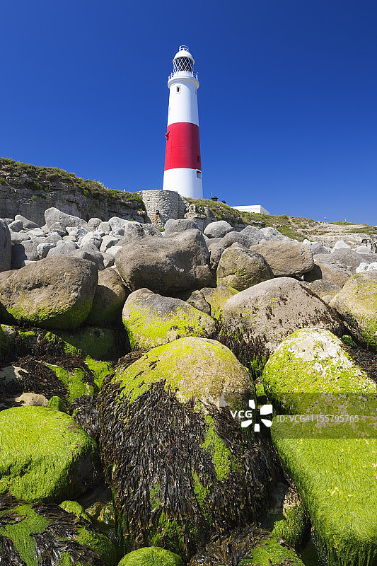 英格兰多塞特郡波特兰比尔灯塔图片素材