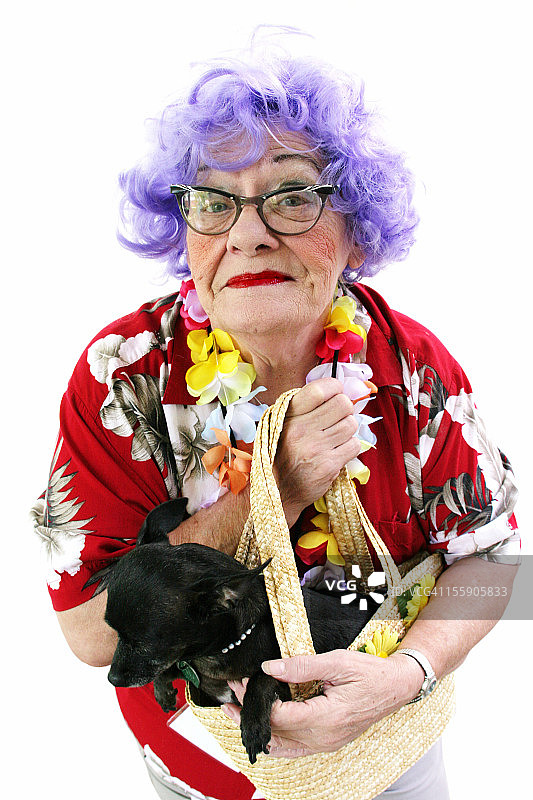 老妇搞怪系列：游客携带吉娃娃图片素材