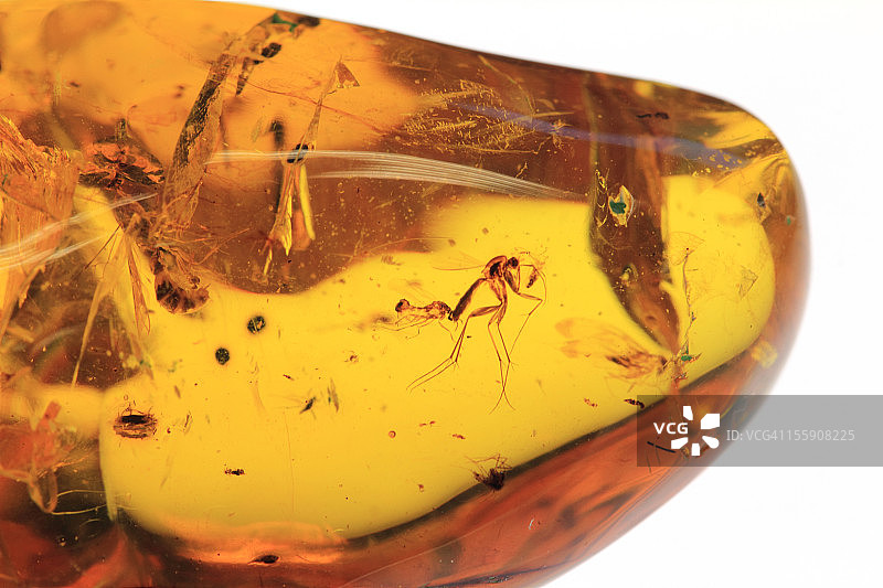 波罗的海琥珀图片素材