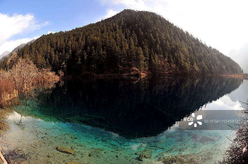 咆哮之美图片素材