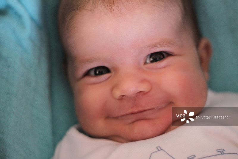 Pillo ","l图片素材