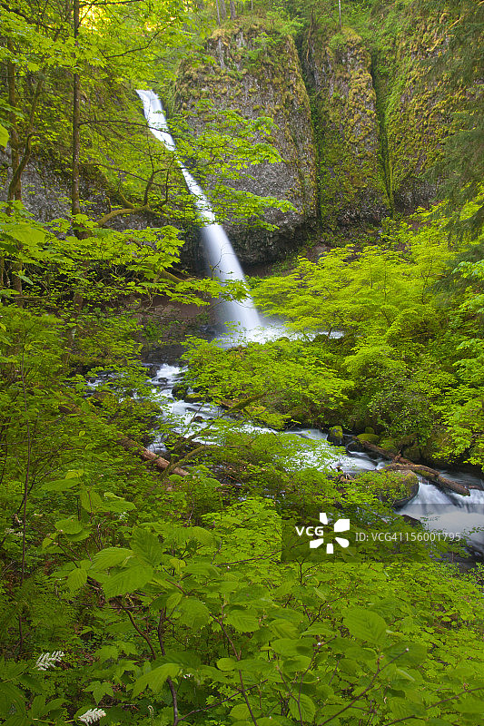 俄勒冈州哥伦比亚河谷马尾瀑布图片素材