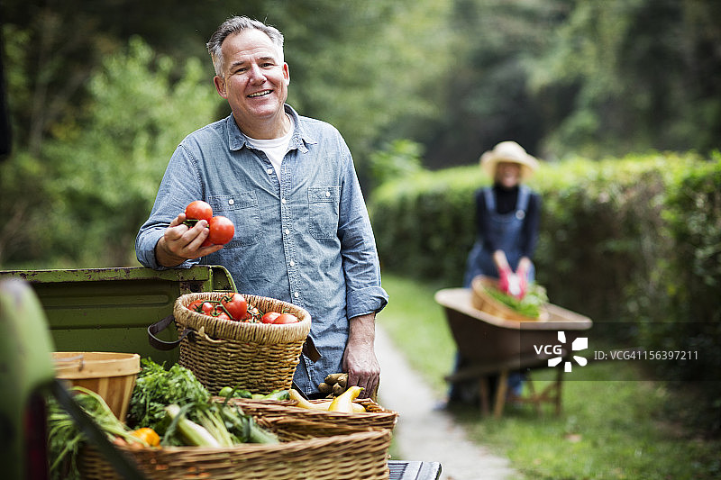 拿着装满收获蔬菜篮子的中年男人图片素材