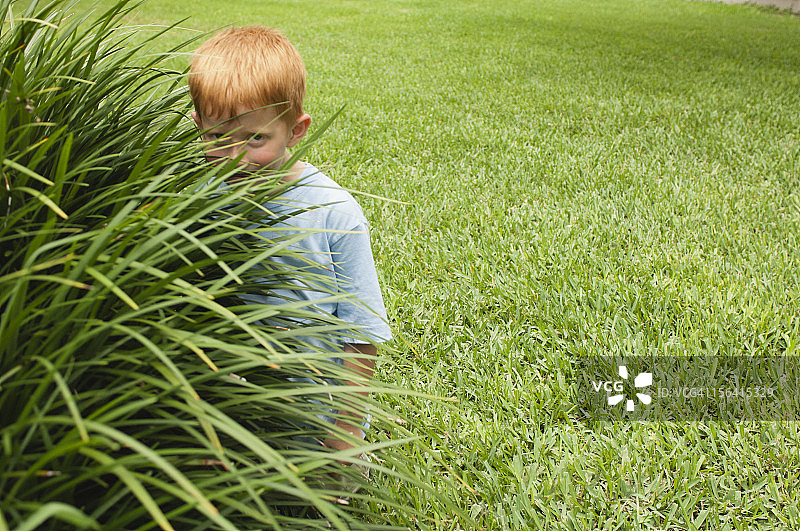 男孩躲在高高的草丛后面图片素材