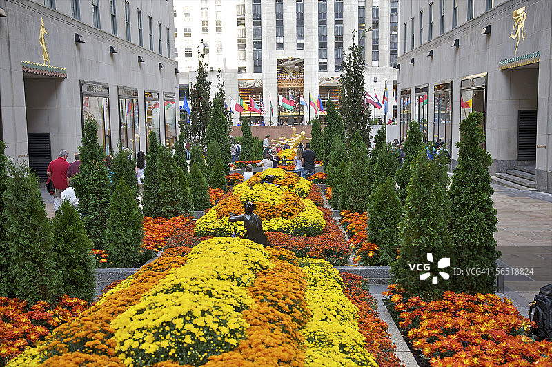 地标广场上的橙黄色秋季植物图片素材
