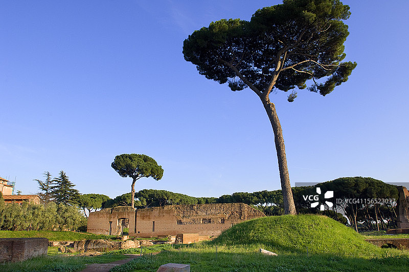 古罗马广场，帕拉蒂诺山图片素材