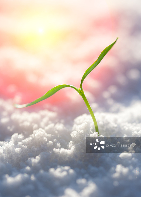 新生活图片素材