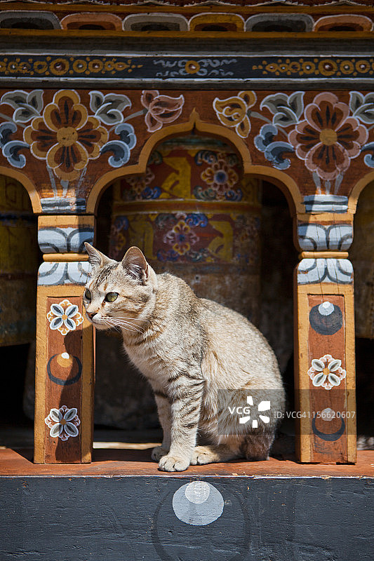 小猫和祈祷轮图片素材