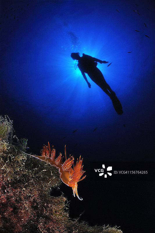 脆弱的世界图片素材