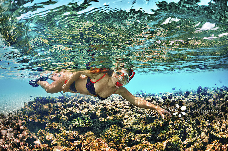 浮潜的女人图片素材