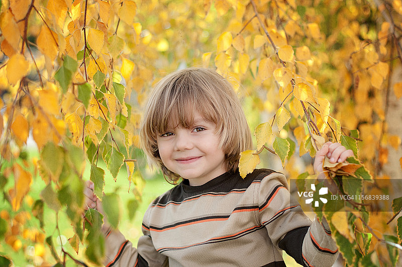 秋叶中的微笑图片素材