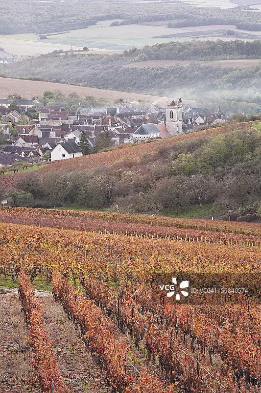葡萄园环绕的伊朗西村庄图片素材