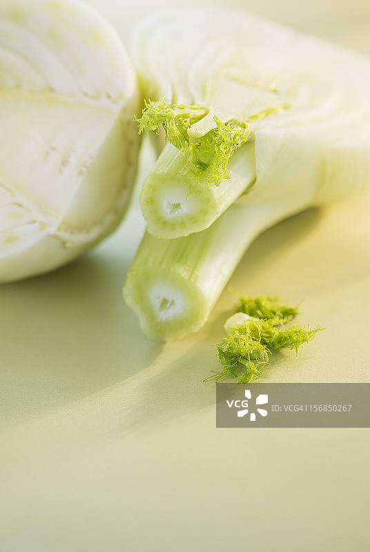 影棚拍摄的茴香图片素材