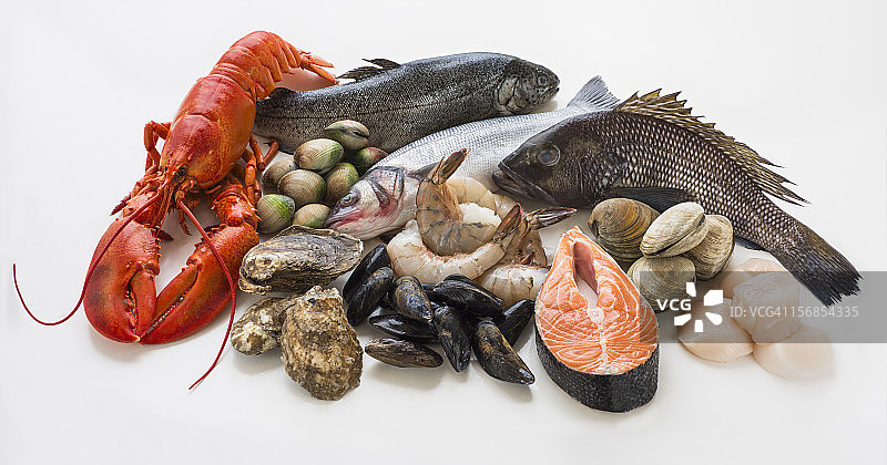 海鲜精选，摄影棚拍摄图片素材