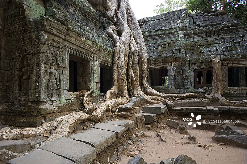 吴哥窟塔布茏寺，柬埔寨图片素材