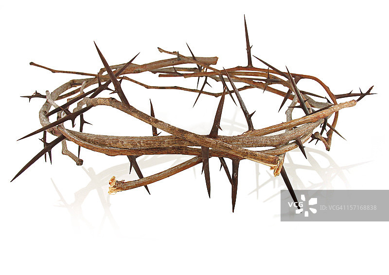 荆棘的冠冕图片素材