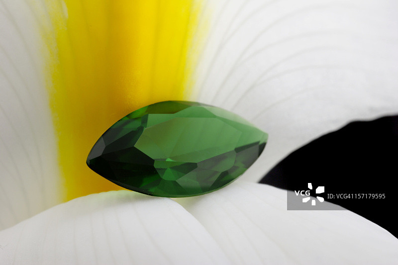虹膜花上的翠绿宝石图片素材