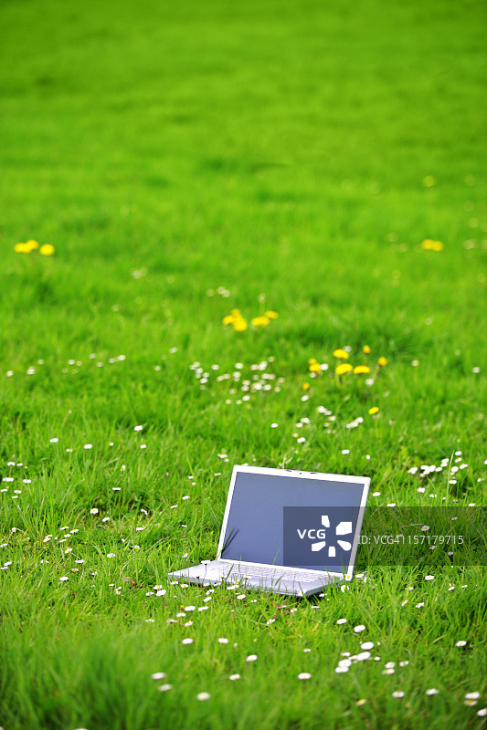 春季办公室图片素材