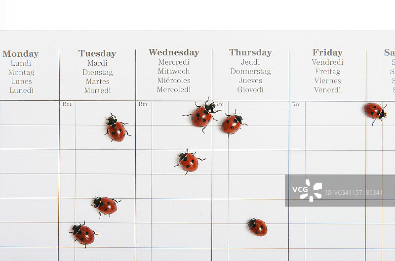 繁忙的日程安排图片素材