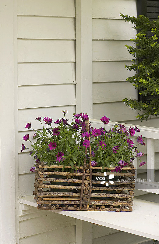 长椅上的花盆图片素材