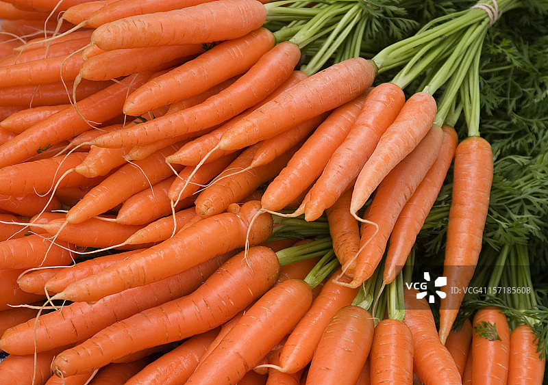 不仅仅是兔子图片素材