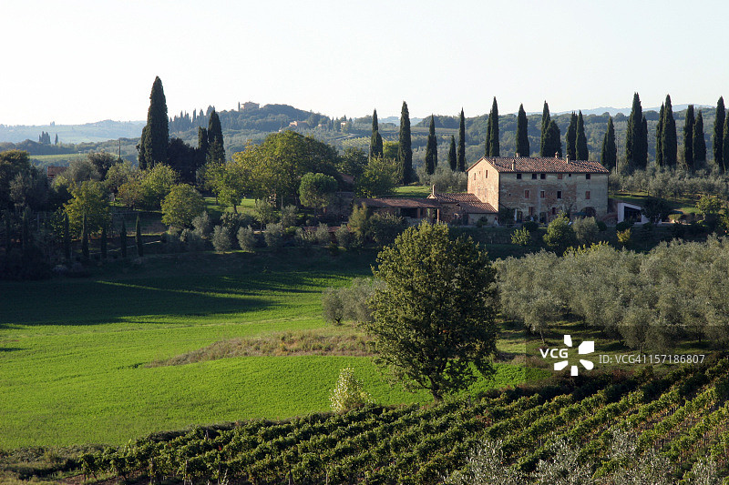 意大利托斯卡纳锡耶纳东北部的基安蒂图片素材