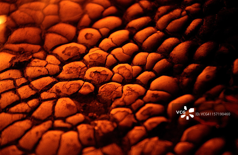 火焰气泡图片素材