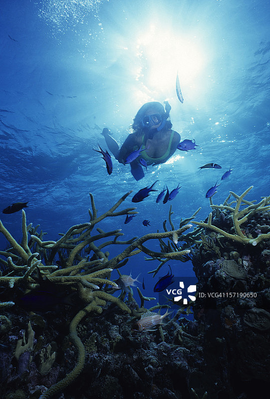 探索深海图片素材