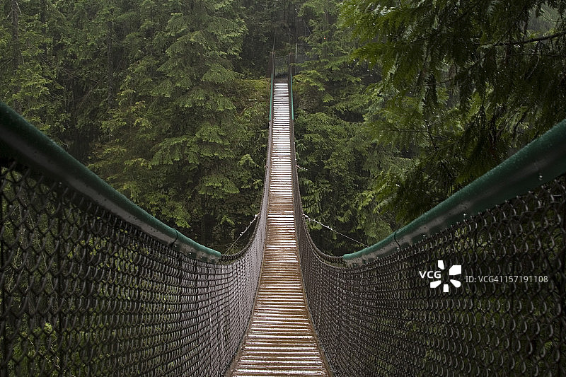 林恩峡谷吊桥图片素材